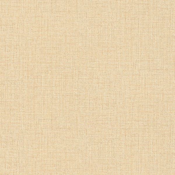 38528-5 A.S. Création vliesová tapeta na stenu jednofarebná textilná Desert Lodge (2024), veľkosť 10,05 m x 53 cm