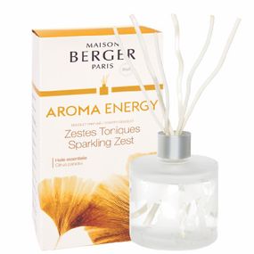 Maison Berger Paris Difuzér s vŕbovými tyčinkami Aroma Energy - Čerstvé tonikum, 180 ml 6057