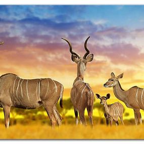 Obraz Antilopy pri západe slnka 29111