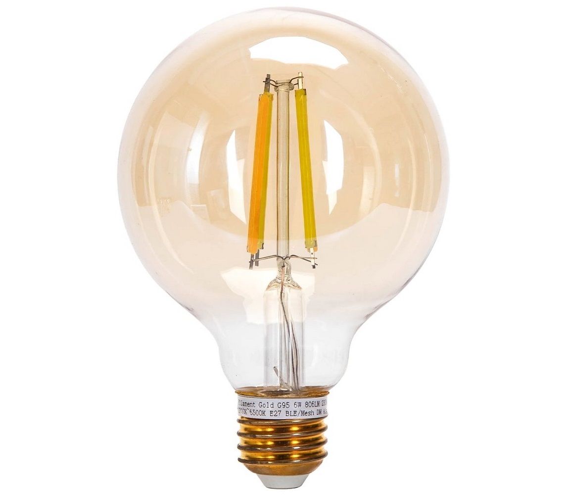 LED Žiarovka FILAMENT G95 E27/6W/230V 2700-6500K - Aigostar