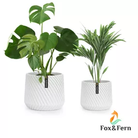 Fox & Fern Heusden, súprava 2 kvetináčov, polyston, vhodný na rastliny, ručná výroba, 3D vzhľad