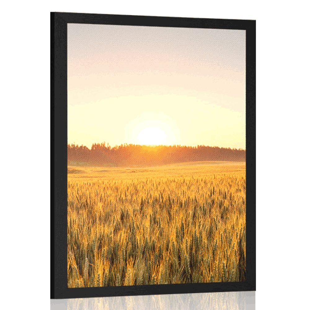 Plagát západ slnka nad poľom - 40x60 black