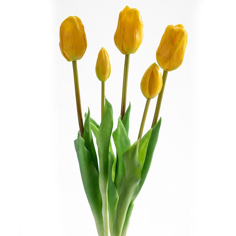 Zväzok TULIPÁNY žlté 46 cm, 5 ks