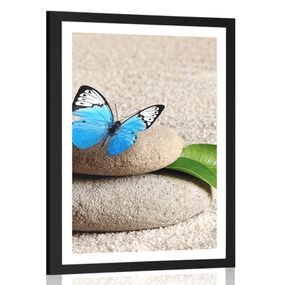 Plagát s paspartou modrý motýľ na Zen kameni - 60x90 black