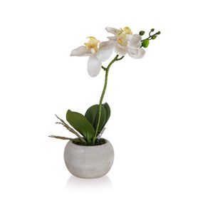 HOME DECOR Orchidej v papírovém květináči 32 x 23 cm, bílá