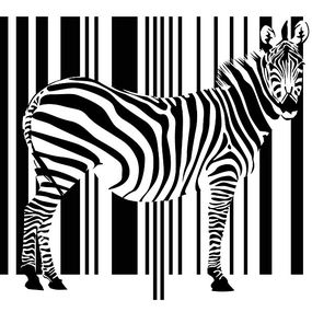 Čiernobiela fototapeta Zebra 3181 - latexová