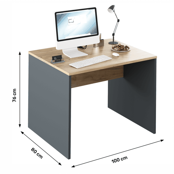 Písací stôl, grafit/dub artisan, RIOMA NEW TYP 12