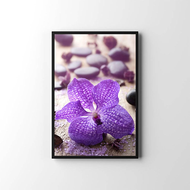 Plagát Fialová orchidea s kamienkami zv6840