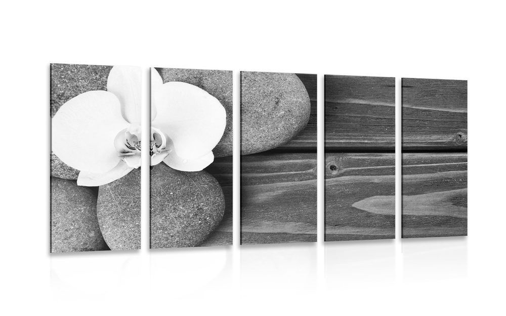 5-dielny obraz wellness kamene a orchidea na drevenom pozadí v čiernobielom prevedení
