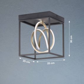 FISCHER & HONSEL Stropné LED svetlo Gisi, CCT, 1-plameňové, Obývacia izba / jedáleň, kov, silikón, 15W, P: 25 cm, L: 25 cm, K: 30cm
