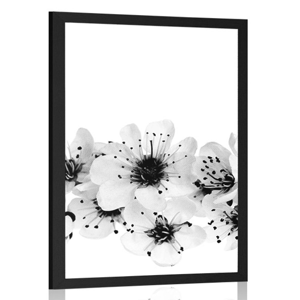 Plagát čerešňové kvety v čiernobielom prevedení - 40x60 black