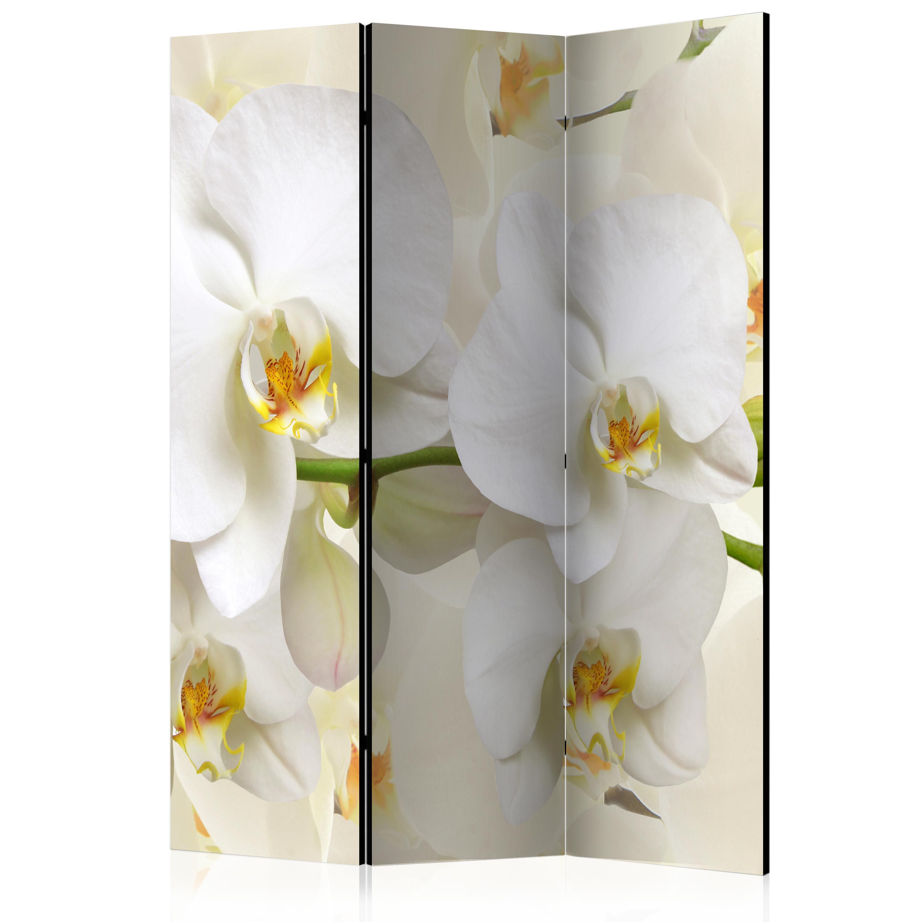 Artgeist Paraván - Orchid Branch [Room Dividers]