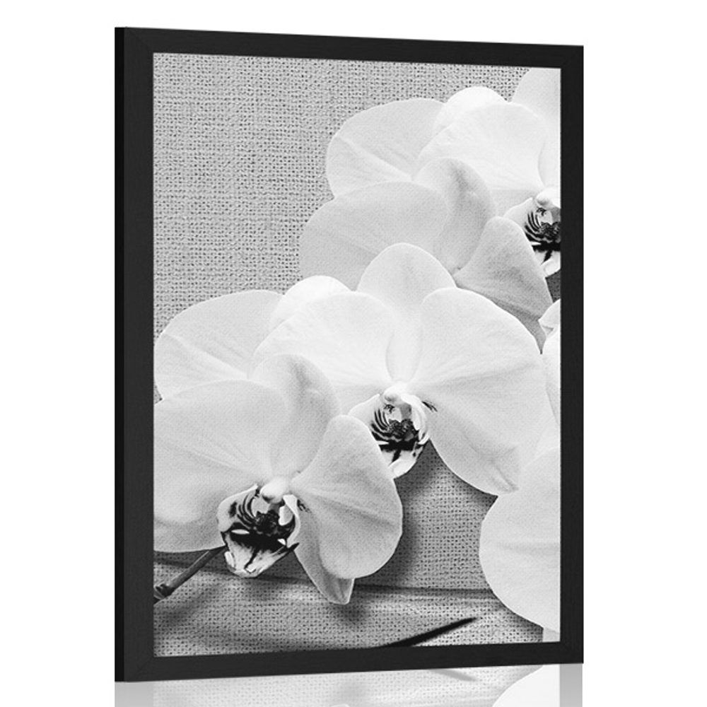 Plagát orchidea na plátne v čiernobielom prevedení - 60x90 black