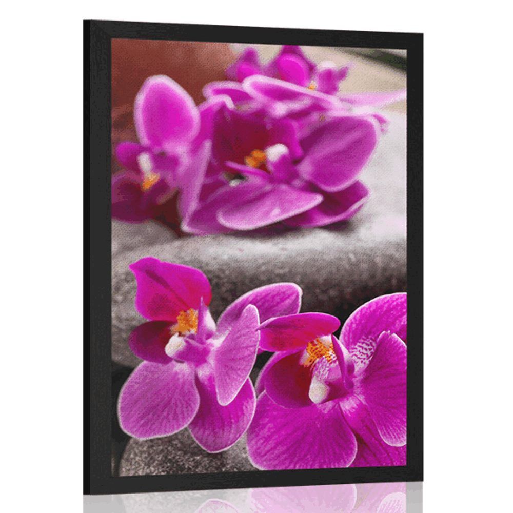 Plagát nádherná orchidea a Zen kamene - 30x45 silver