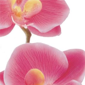 FTN V 2826 Vliesová fototapeta dverná Pink orchid, veľkosť 90 x 202 cm