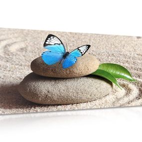 Obraz modrý motýľ na Zen kameni - 120x60