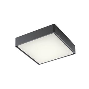 REDO 90157 MARINA exteriérové stropné svietidlo SMD LED 12W 1260/808lm 3000K IP65 antracit