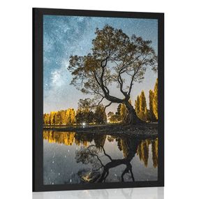 Plagát strom pod hviezdnou oblohou - 60x90 black