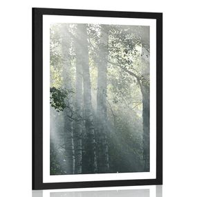 Plagát s paspartou slnečné lúče v hmlistom lese - 40x60 black