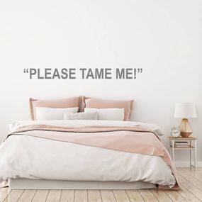 Samolepiace tapety na stenu - Tame me!