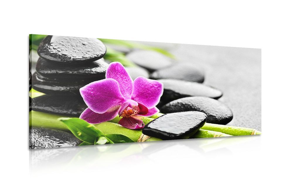 Obraz wellness zátišie s fialovou orchideou - 120x60