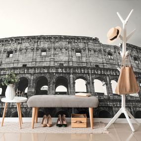 Samolepiaca fototapeta Koloseum v čiernobielom prevedení - 450x300