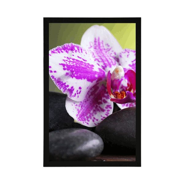 Plagát orchidea a čierne kamene - 40x60 black