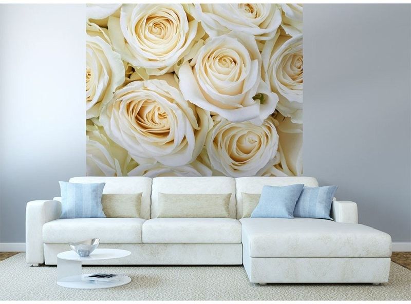 MS-3-0137 Vliesová obrazová fototapeta White Roses, veľkosť 225 x 250 cm