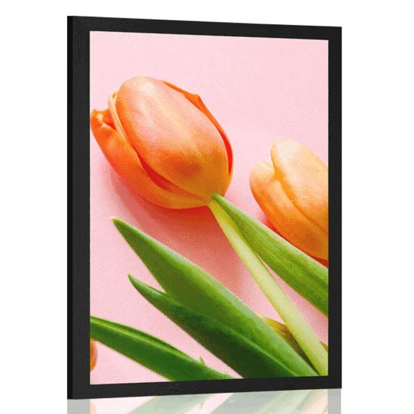 Plagát tulipán - 60x90 black