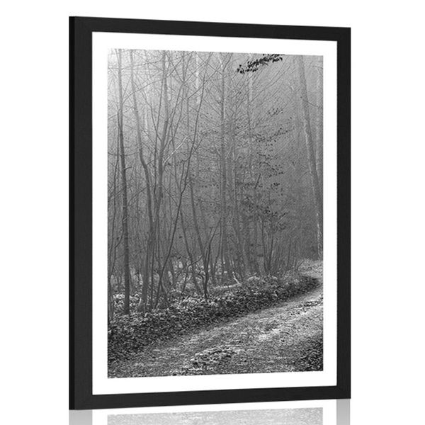 Plagát s paspartou čiernobiela cestička do lesa - 20x30 silver