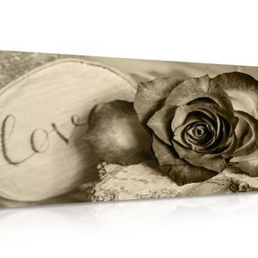 Obraz ruža v sépiovom prevedení Love - 120x60