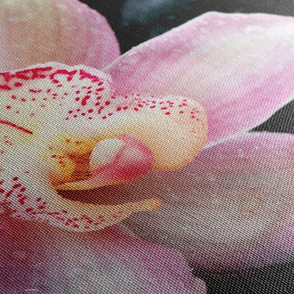 Obraz Spa orchidea - 120x60