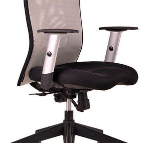 OFFICE PRO -  OFFICE PRO Kancelárska stolička CALYPSO sivá svetlá