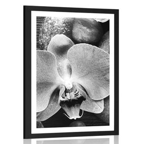 Plagát s paspartou nádherná orchidea a kamene v čiernobielom prevedení - 60x90 black