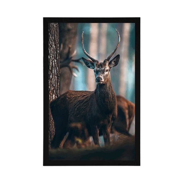 Plagát jeleň v lese - 60x90 black