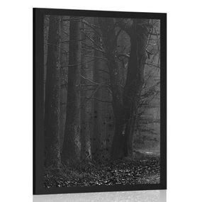 Plagát cesta v lese v čiernobielom prevedení - 40x60 black