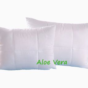 Brotex Vankúš Aloe vera 45x60 cm na zips