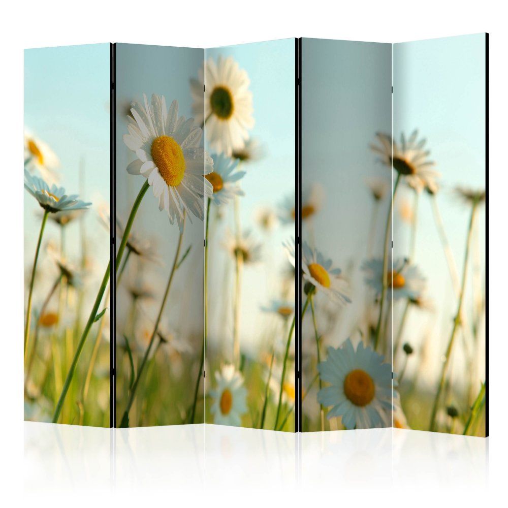 Paraván Daisies - spring meadow Dekorhome 225x172 cm (5-dielny)