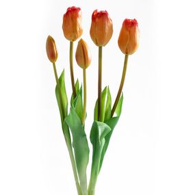 Zväzok TULIPÁNY oranžové 46 cm, 5 ks