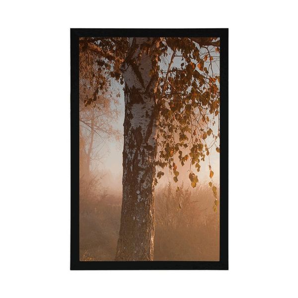 Plagát hmlistý jesenný les - 30x45 silver