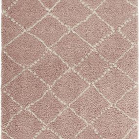 Mint Rugs - Hanse Home koberce Kusový koberec Allure 102750 rosa creme - 200x290 cm