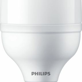 Philips TForce Core HB MV ND 20W E27 830 G3