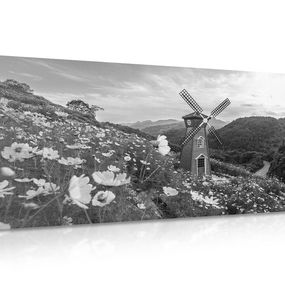 Obraz lúka pri kúzelnom mlyne v čiernobielom prevedení