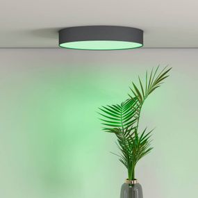 Calex Smart Fabric stropné LED svetlo, 30 cm, Obývacia izba / jedáleň, plast, textil, 16W, Energialuokka: F, K: 6.5cm
