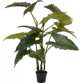 KARE Design Dekorativní rostlina Taro 180cm