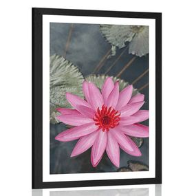 Plagát s paspartou očarujúci lotosový kvet - 60x90 black