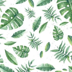 Tropické listy zelené - fototapeta FS3818