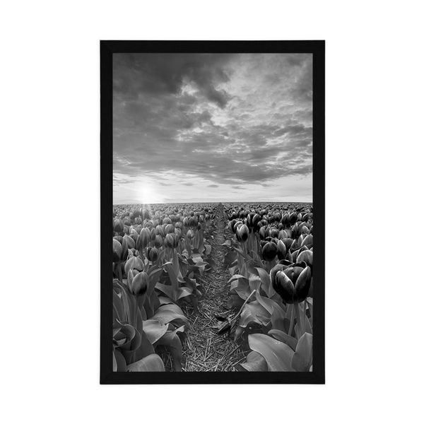 Plagát východ slnka nad lúkou s tulipánmi v čiernobielom prevedení - 20x30 silver