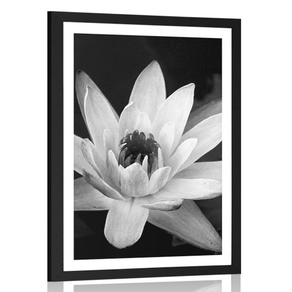 Plagát s paspartou čiernobiele lekno - 40x60 black