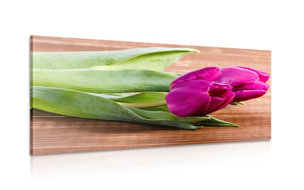 Obraz kytica fialových tulipánov